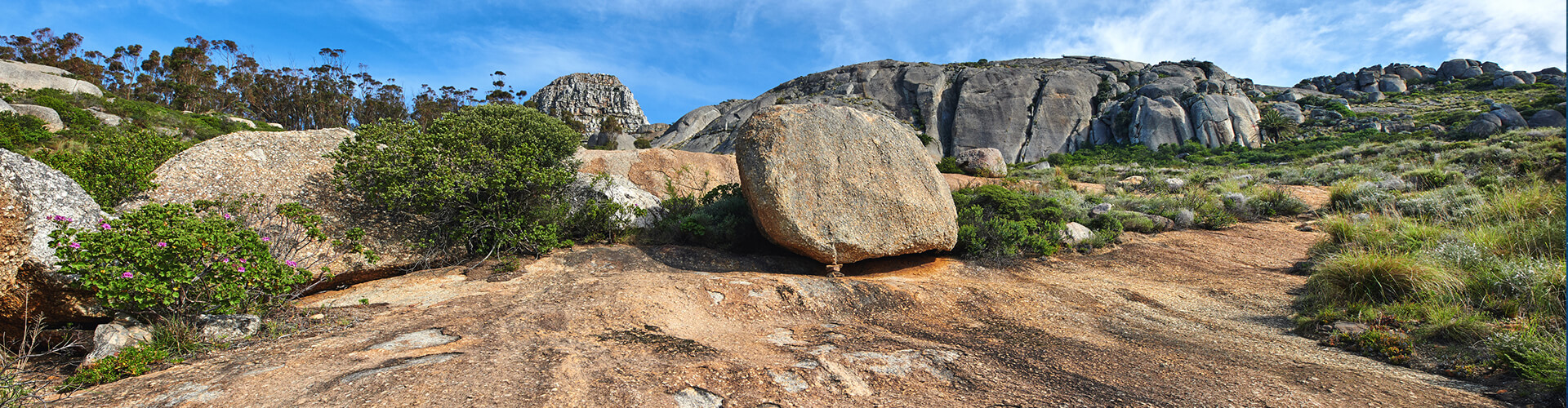 Ultra Trail Cape Town