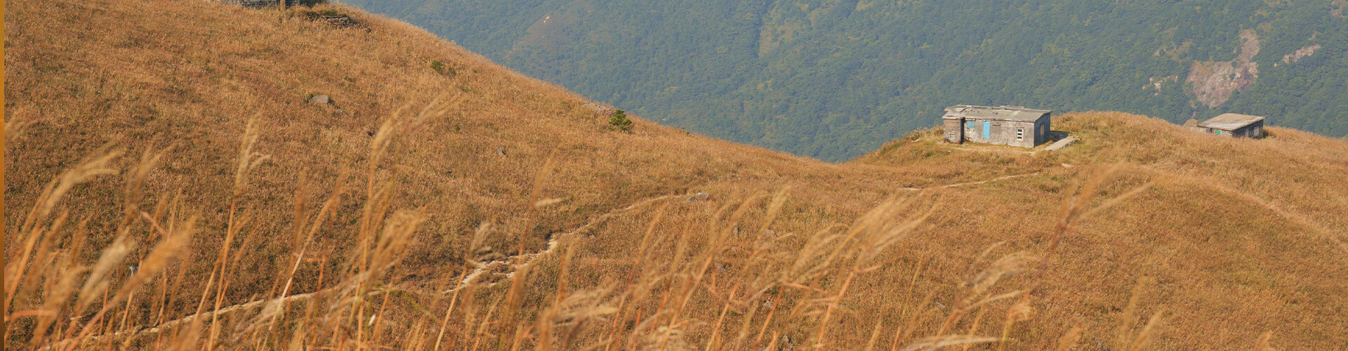 TransLantau 50