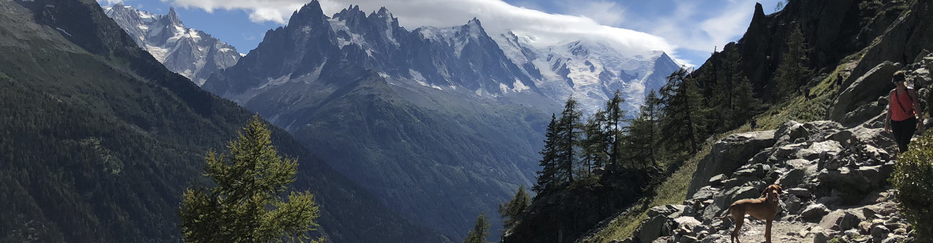 Marathon du Mont Blanc 90k