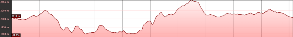 RuNyanga course profile 50 km